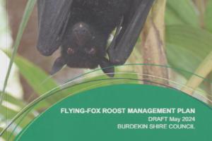 Council calls for community input on Draft Flying-Fox Roost 
Management Plan